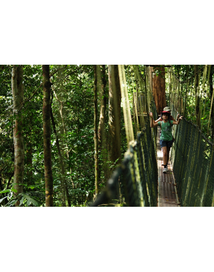 KUALA TAHAN NATIONAL PARK 3D2N