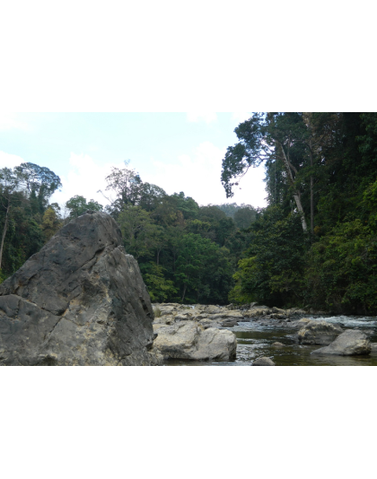 KUALA TAHAN NATIONAL PARK 3D2N