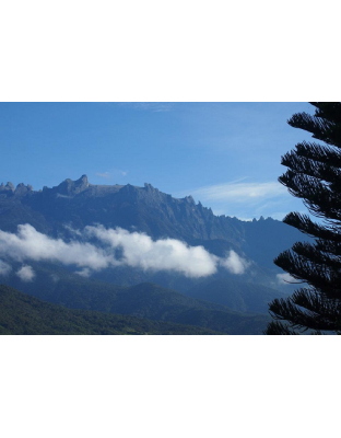 SABAH KOTA KINABALU - KUNDASANG 3D2N