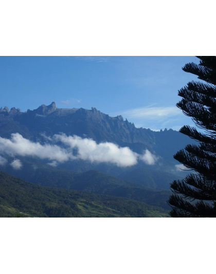 SABAH KOTA KINABALU - KUNDASANG - MANUKAN AND MAMUTIK ISLAND 5D4N