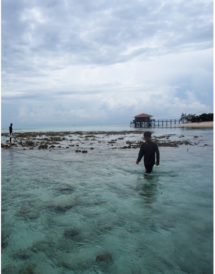 SABAH SEMPORNA ISLANDS PARK 4D3N