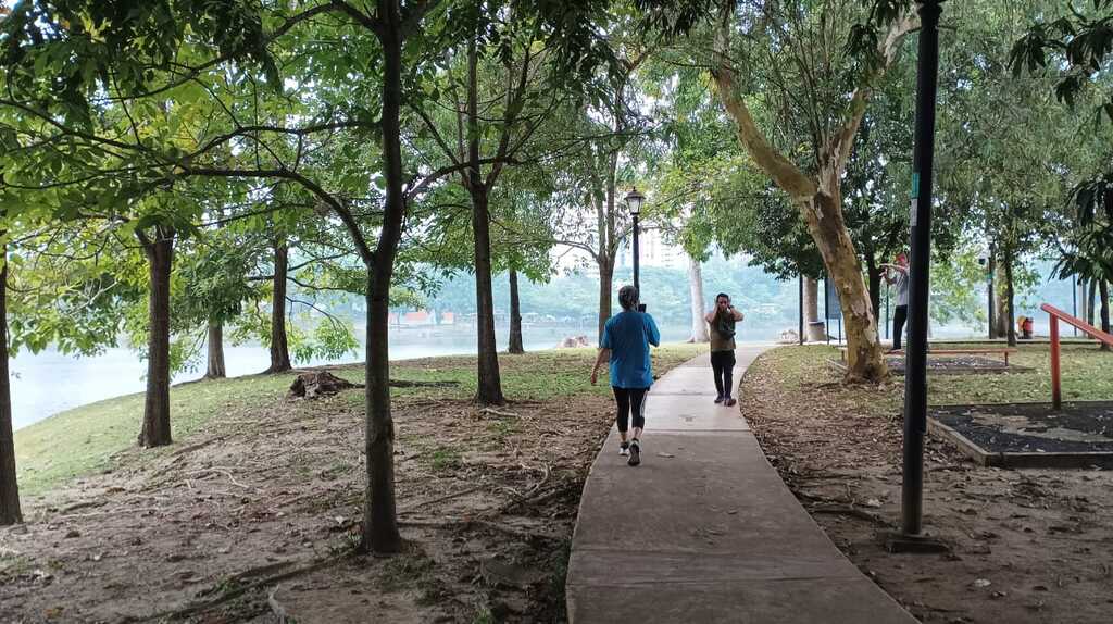 Healing Beyond Medicine: The Transformative Power of Brisk Walking and Breathing Practice 2 Brisk Walking In the Morning